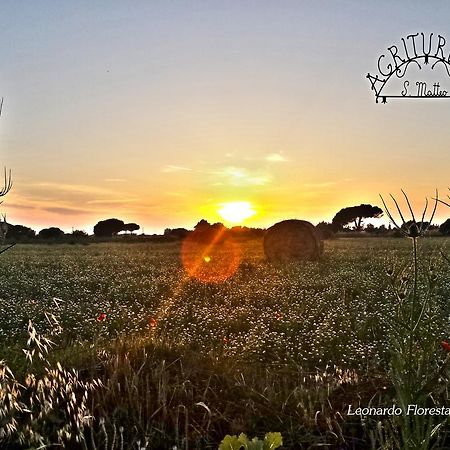 Agriturismo San Matteo Tarquinia Buitenkant foto