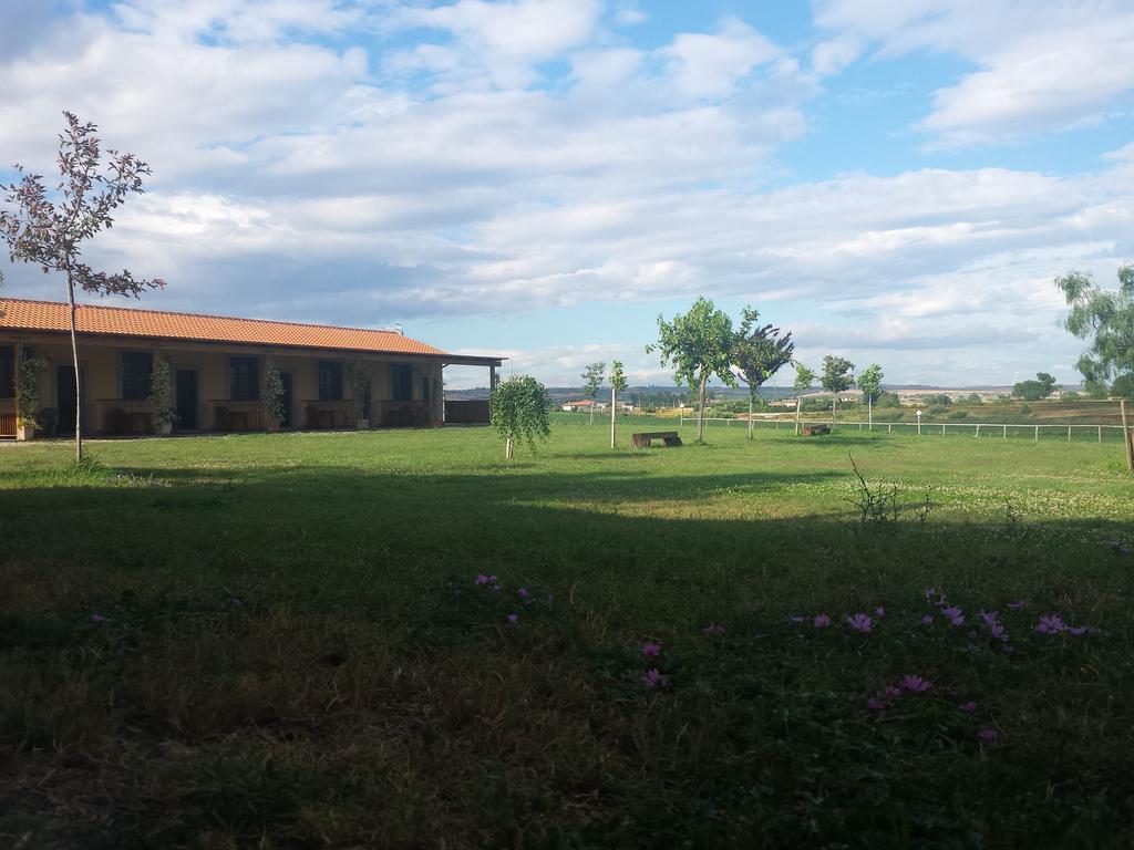 Agriturismo San Matteo Tarquinia Kamer foto