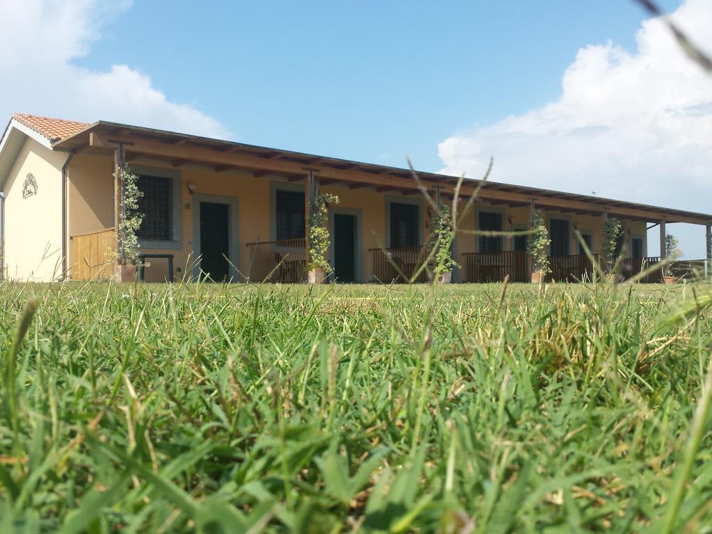 Agriturismo San Matteo Tarquinia Kamer foto