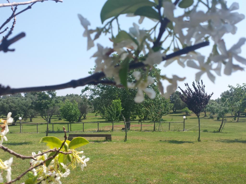 Agriturismo San Matteo Tarquinia Kamer foto