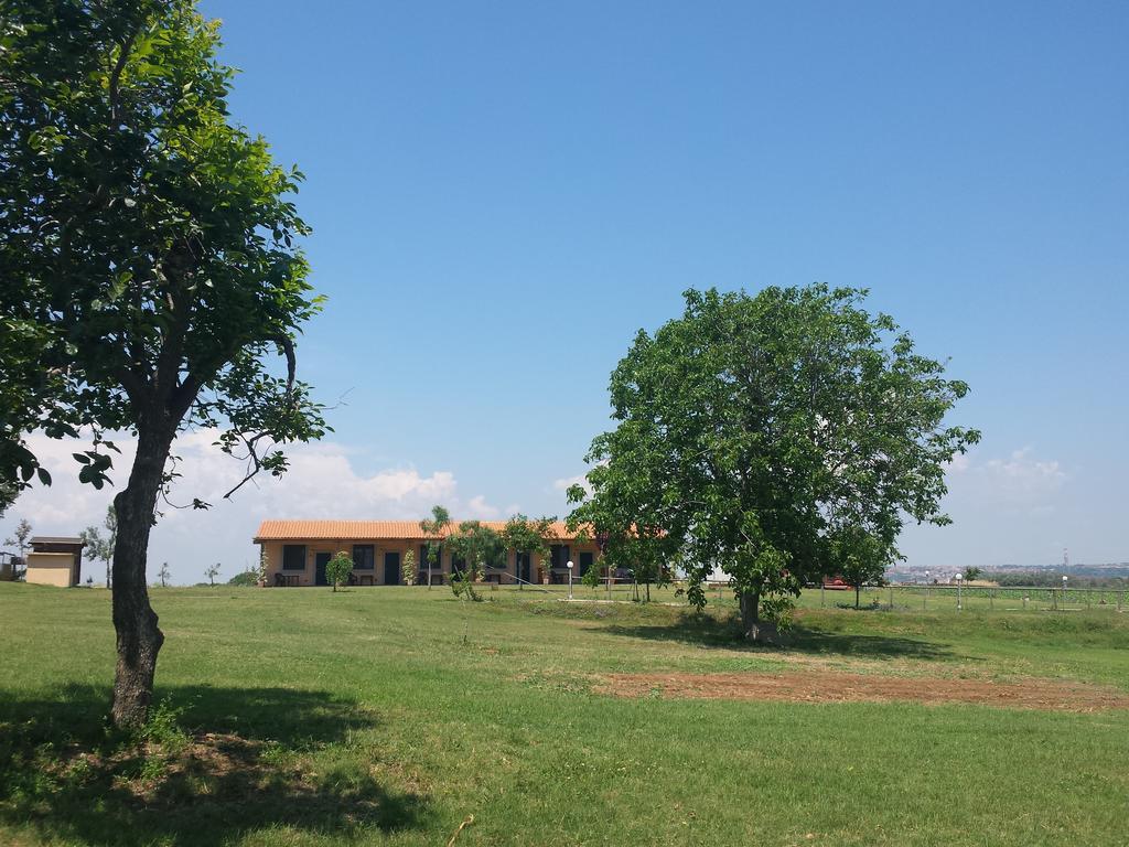 Agriturismo San Matteo Tarquinia Kamer foto
