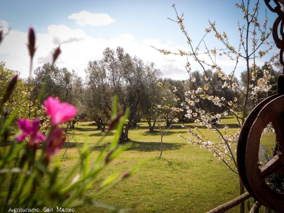 Agriturismo San Matteo Tarquinia Buitenkant foto