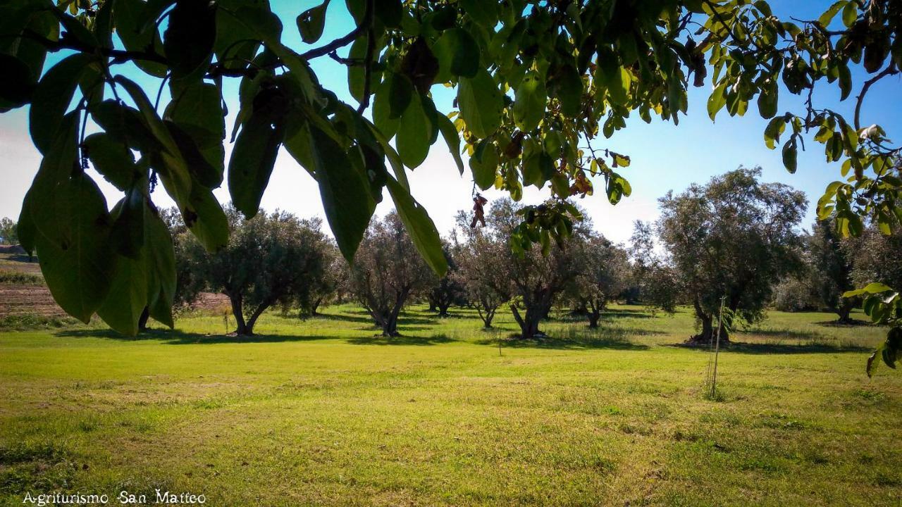 Agriturismo San Matteo Tarquinia Buitenkant foto