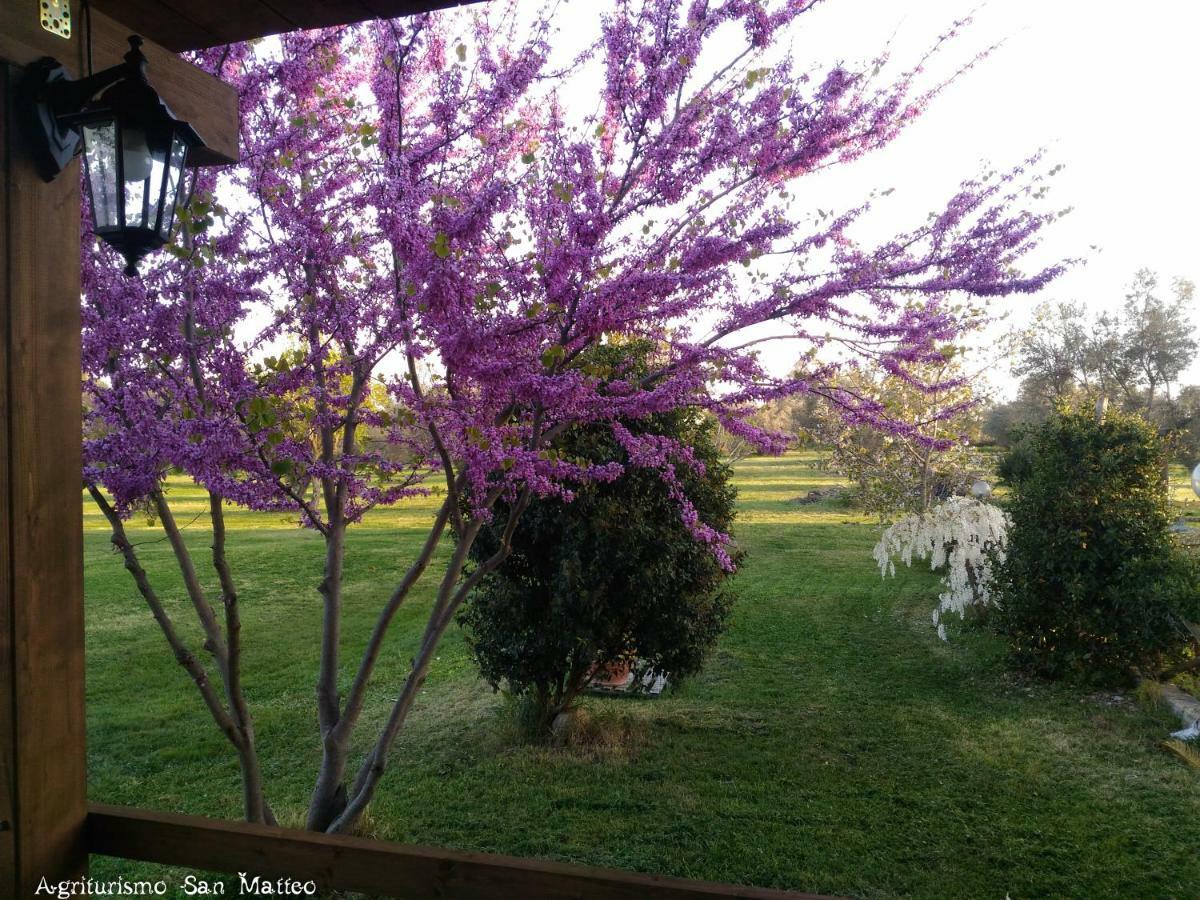 Agriturismo San Matteo Tarquinia Buitenkant foto
