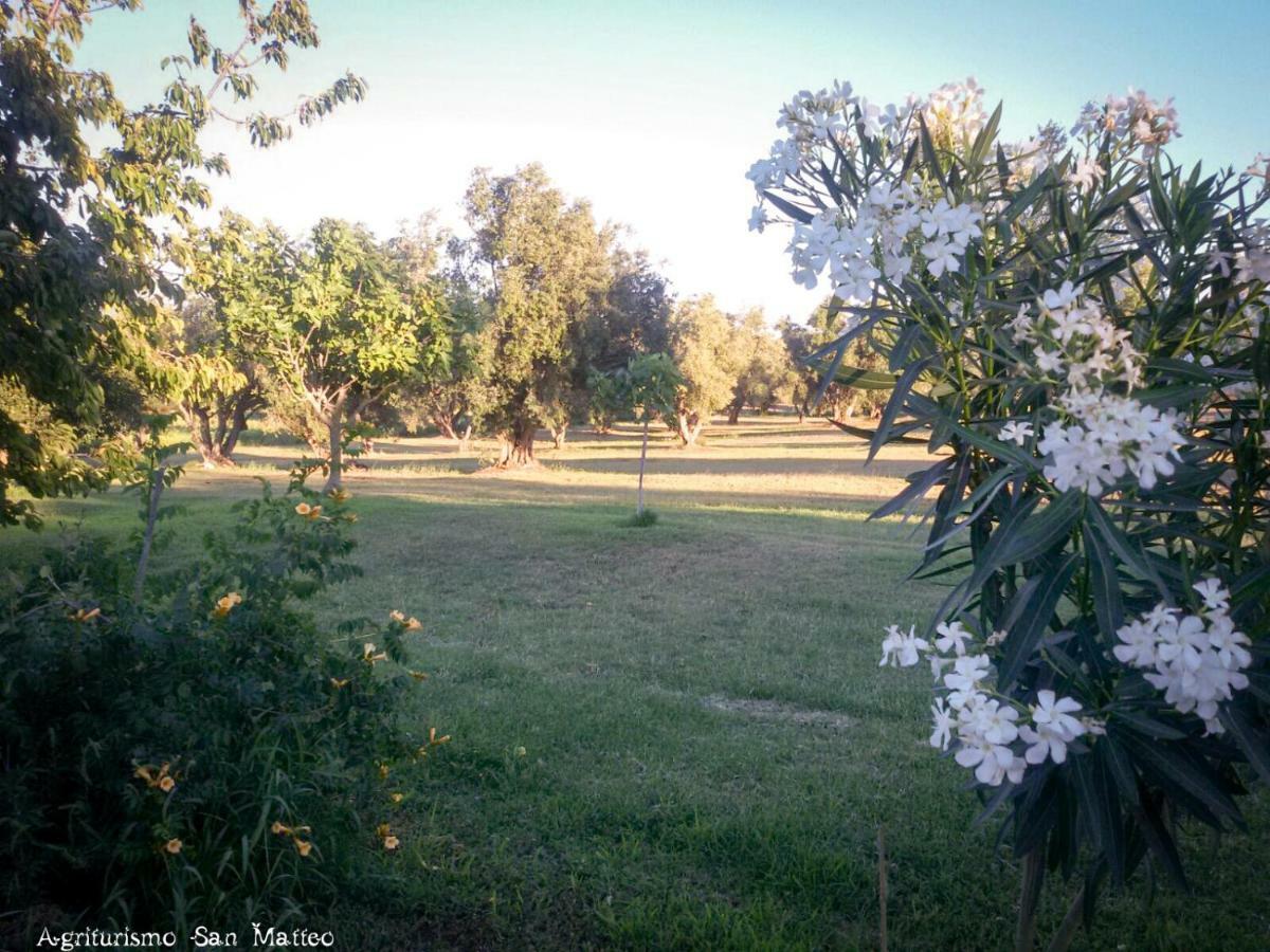 Agriturismo San Matteo Tarquinia Buitenkant foto
