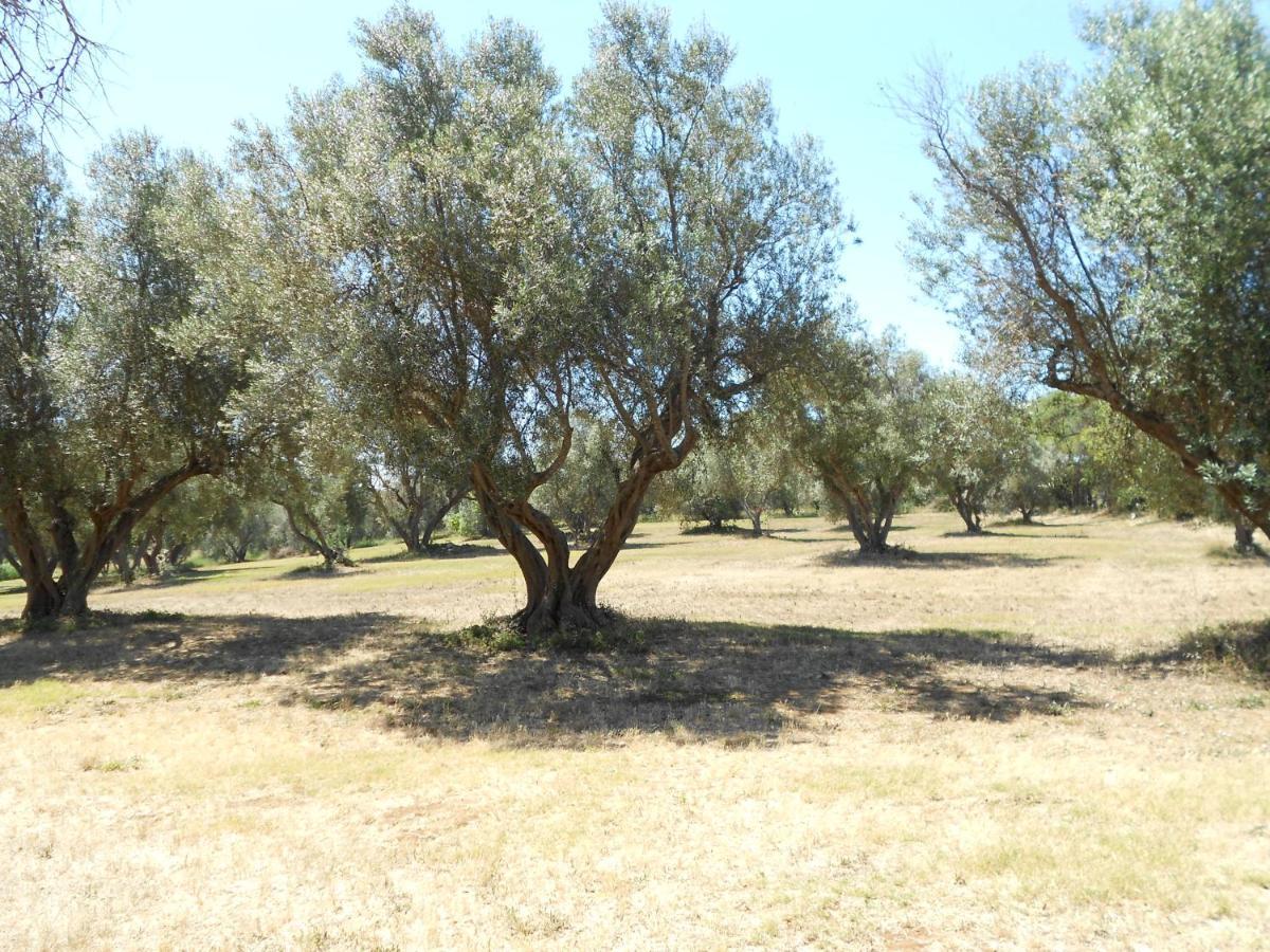 Agriturismo San Matteo Tarquinia Buitenkant foto