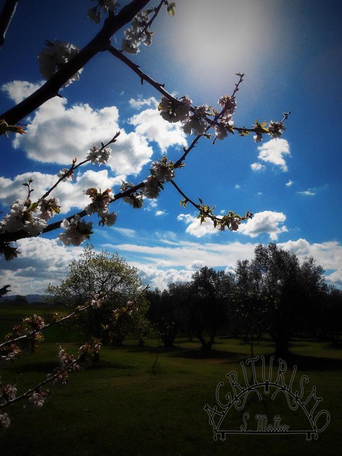 Agriturismo San Matteo Tarquinia Buitenkant foto