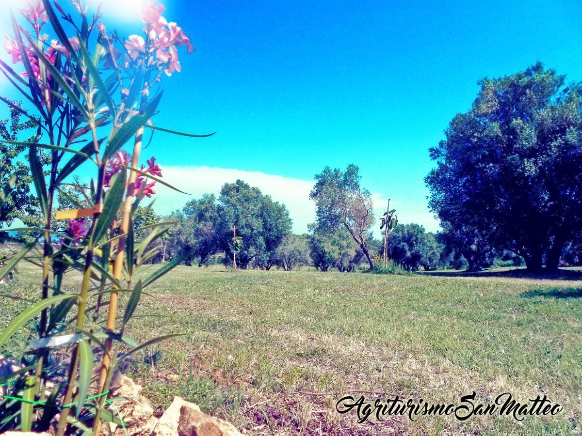 Agriturismo San Matteo Tarquinia Buitenkant foto