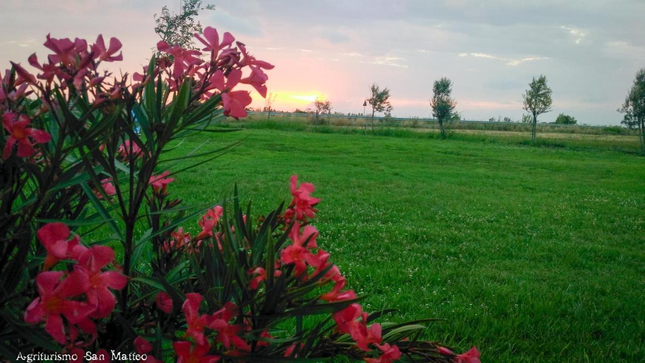 Agriturismo San Matteo Tarquinia Buitenkant foto